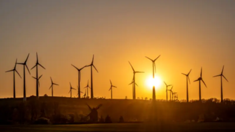 Harzkreis: Überraschende Entscheidung bei Windpark-Planung nahe Wernigerode