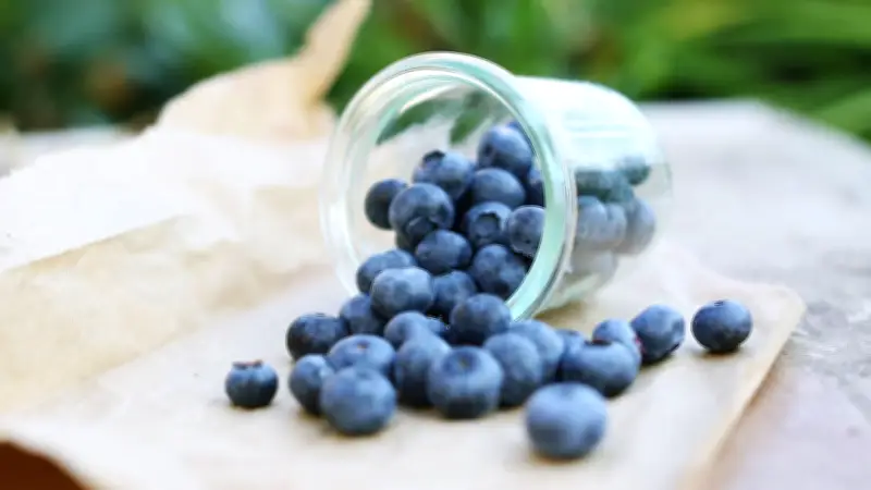 Heidelbeeren: Die wissenschaftlich belegten Gesundheitsvorteile der blauen Superfrucht