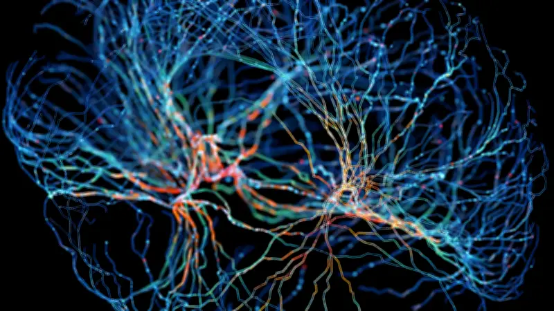 Hirnstimulation fördert Altruismus: Studie zeigt, wie elektrische Impulse selbstloses Handeln anregen