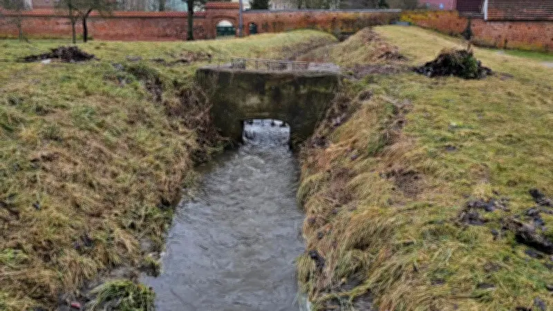 Historische Wassertechnik in Bad Doberan: Zisterzienser-Wallbach meistert Schmelzwasser