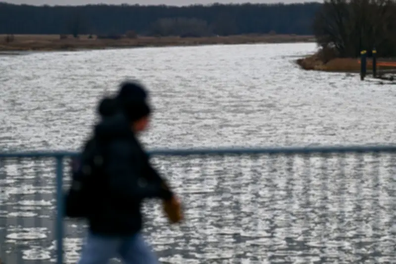 Hochwassergefahr an der Oder: Brüchige Eisdecke lässt Wasserstand in Frankfurt stark ansteigen