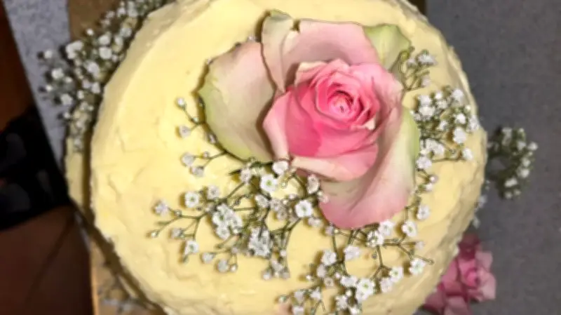 Hochzeitsmesse in Schwedt: Inspiration und Beratung für den perfekten Tag