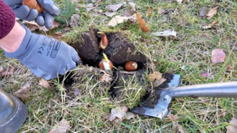 Hoymat-Verein startet mit Fitnesspark und Frühblüher-Aktion in den Frühling