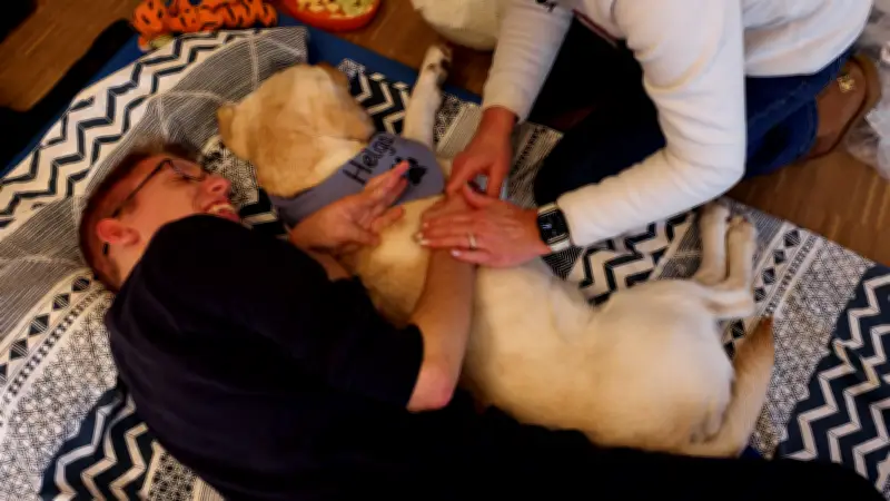 Hunde schenken schwerkranken Kindern im Hospiz Trost und unvergessliche Momente