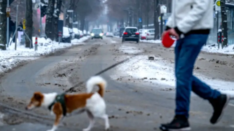 Hundehalterin verletzt Seniorin mit Hundeleine bei Streit in Schwerin