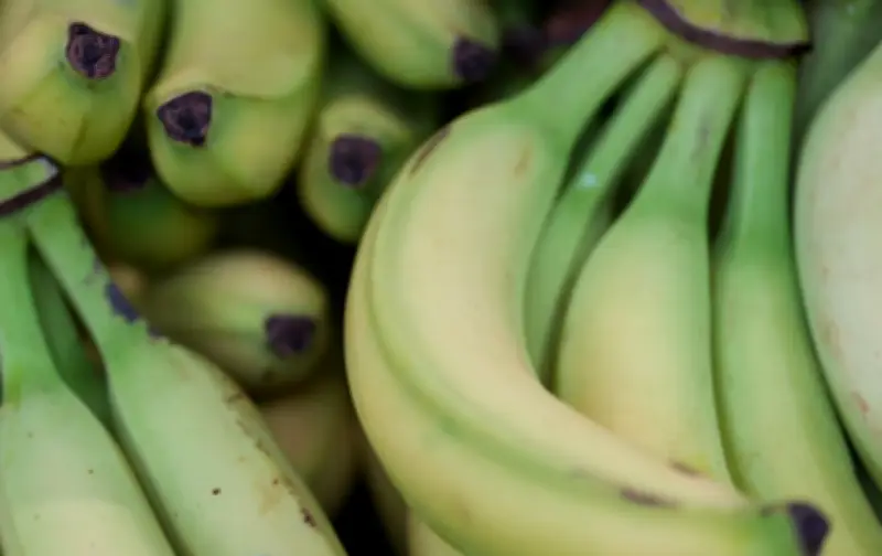 Inflation steigt zu Jahresbeginn auf 2,1 Prozent: Lebensmittelpreise ziehen deutlich an