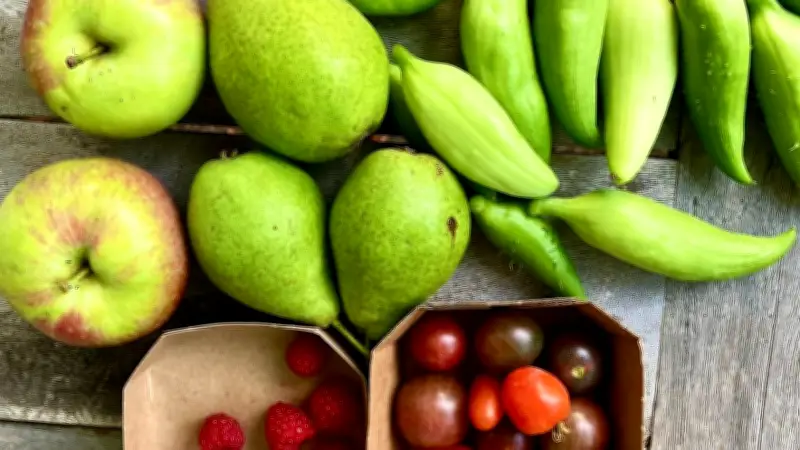 Inkagurke im Fokus: Erste Saatguttausch-Börse startet in Schwerin