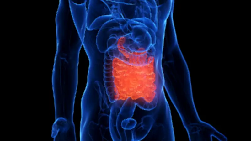 Intervallfasten bei Morbus Crohn: Neue Studie zeigt vielversprechende Ergebnisse