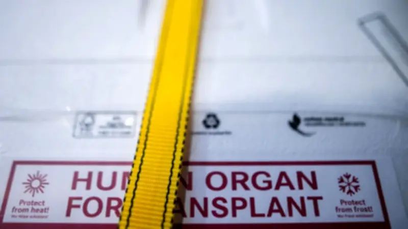 Italien bangt um kleinen Jungen: Spenderherz durch Transportfehler zerstört