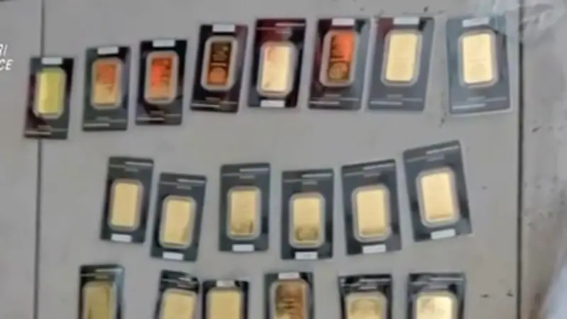 Italienischer Millionär wirft versehentlich 20 Goldbarren in den Müll – Irre Schatzsuche auf Deponie