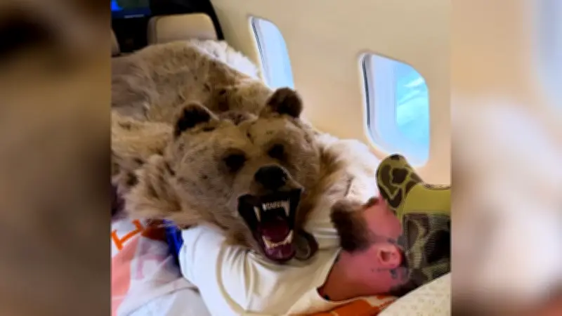 Jake Paul protzt mit Bärenfell und Privatjet, während Jutta Leerdam Olympia-Gold holt