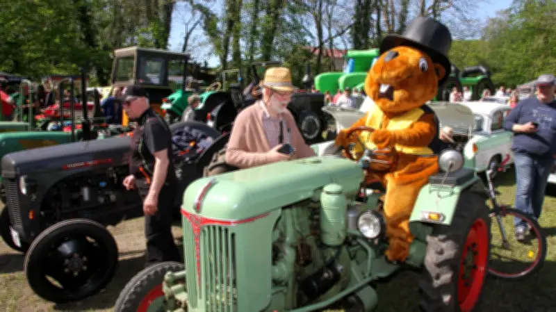 Jarmen 2026: Oldtimer, Biberfest und Musikfestival locken Tausende Besucher in die Peenestadt