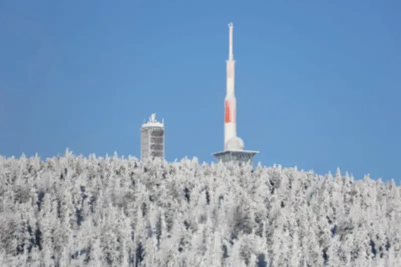 Karneval im Schnee: Sachsen-Anhalt erwartet winterliche Rosenmontags-Umzüge