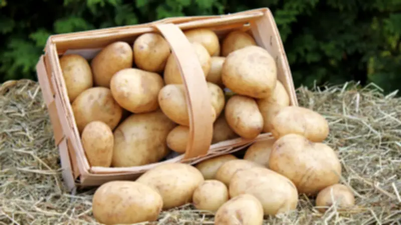 Kartoffeln über Nacht stehen lassen: So steigern Sie den Gesundheitswert deutlich