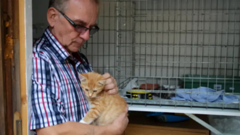 Kater in Marderfalle gefangen: Tierschützer fordern strengere Kontrollen