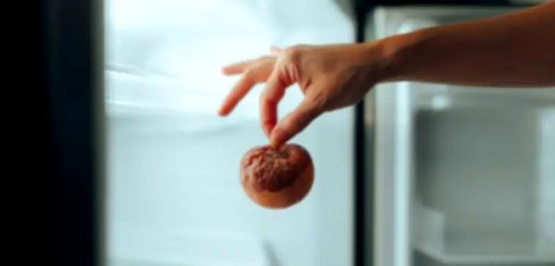 Kühlschrank-Studie enthüllt: Über 550 Bakterienarten in Küchengeräten