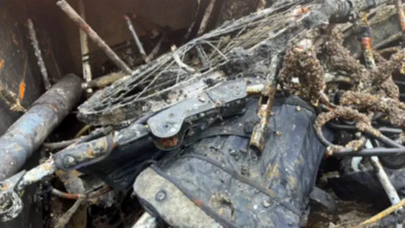 Kinderwagen statt Bomben: Taucher bergen überraschende Funde aus Warnow-Schlick