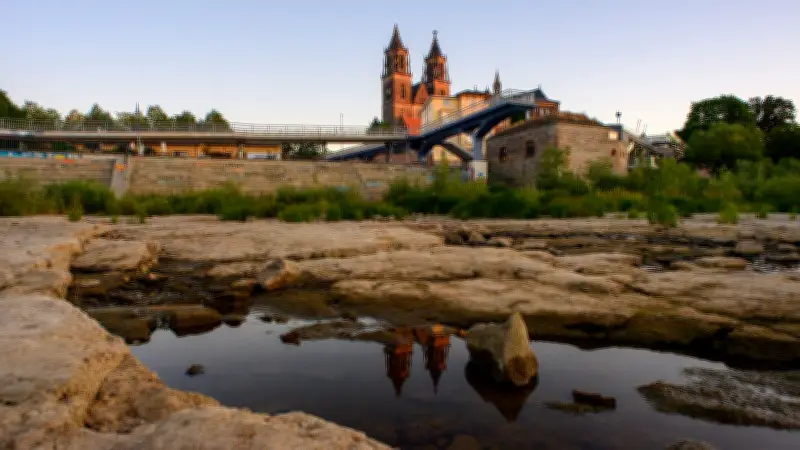 Klimawandel in Sachsen-Anhalt: Feuchtere Winter, trockenere Sommer verändern das Land