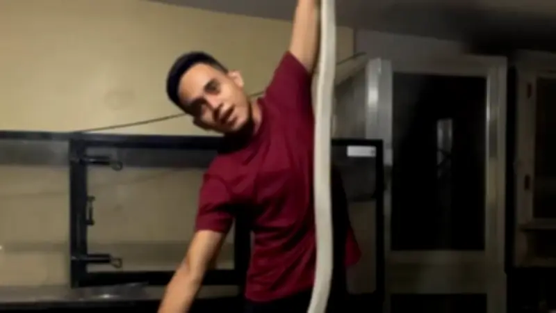 „Kobra-König“ stirbt nach Schlangenbiss: Tiermedizinstudent bei Rettungseinsatz getötet