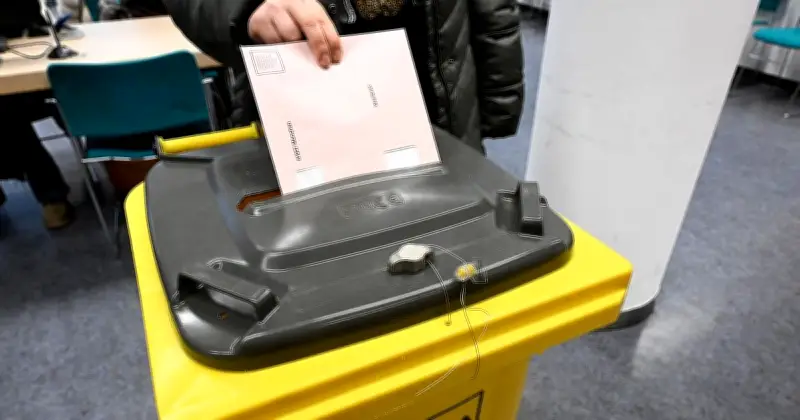 Kommunalwahl in Bayern: AfD laut Expertin ohne Chance auf Rathäuser