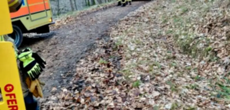 Komplizierte Rettungsaktion: 16-jährige Reiterin nach Sturz aus unwegsamem Wald geborgen