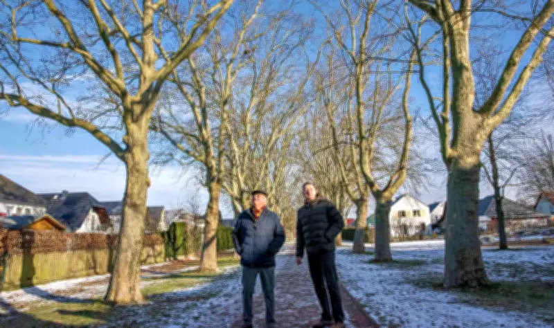 Krähenkolonie in Dessau: Anwohner klagen über Kot-Attacken und Lärmbelästigung