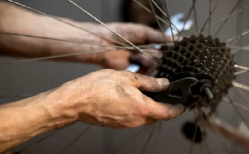 Land Sachsen-Anhalt fördert 22 Mikroprojekte für sozialen Zusammenhalt mit 361.000 Euro