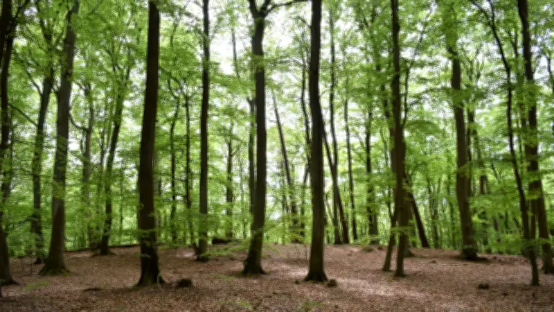 Landkreis Mansfeld-Südharz genehmigt umstrittenen Verkauf von 1.000 Hektar Kempski-Wald an Nabu-Stiftung
