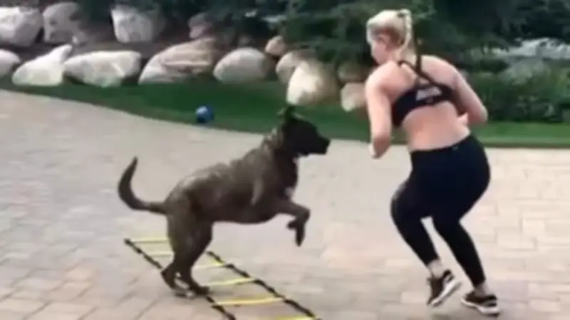 Lindsey Vonn teilt bewegendes Video zum Tod ihres Hundes Leo