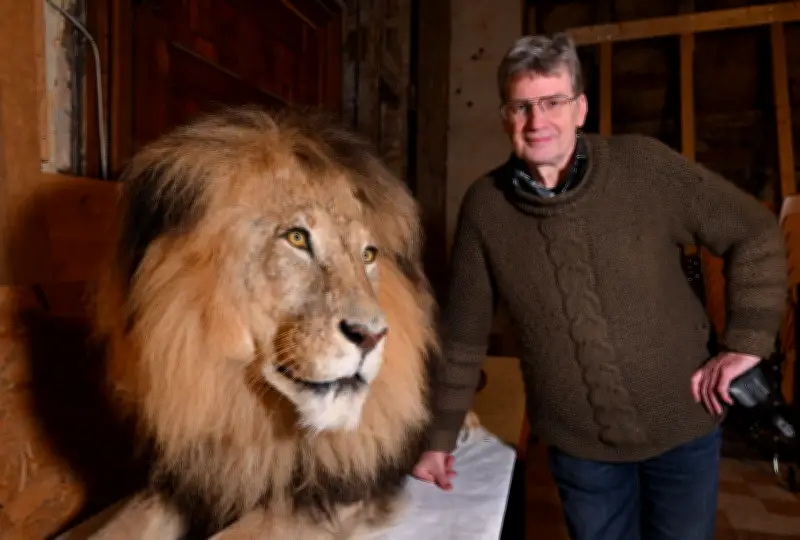 Löwenstarker Abschied: Gothaer Tierpräparator Peter Mildner geht nach 48 Jahren in Ruhestand