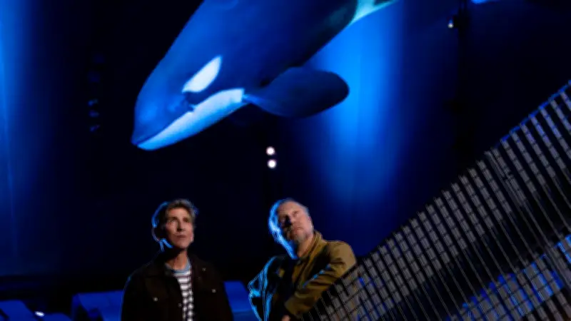 Löwenzahn-Folge aus dem Ozeaneum: Wale hautnah im ZDF und in der Mediathek