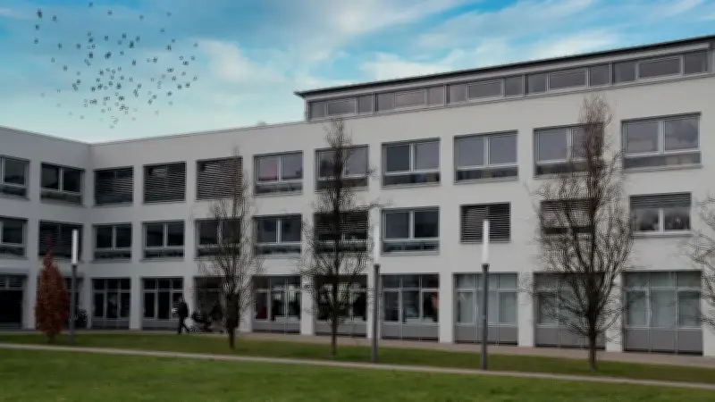 Mansfeld-Südharz drängt junge Bürgergeldempfänger stärker in Arbeit