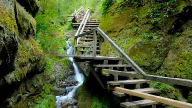 Marienschlucht am Bodensee öffnet nach 11-jähriger Sperrung wieder für Besucher