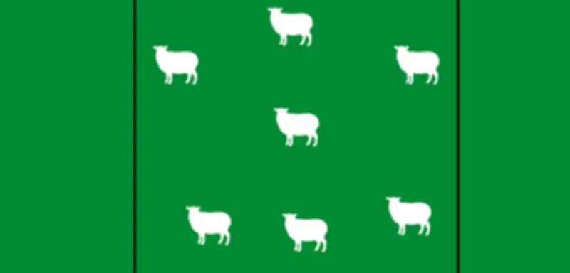 Mathe-Rätsel: Drei Zäune trennen sieben Schafe auf quadratischer Weide