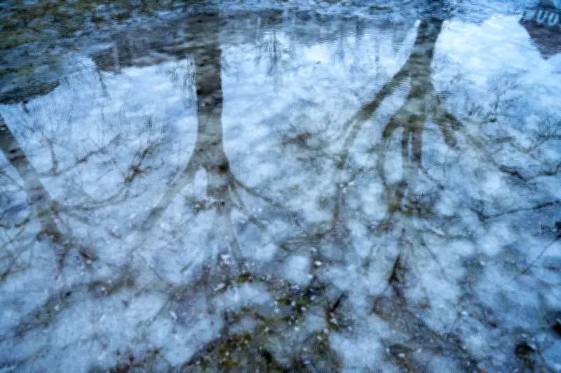 Mecklenburg-Vorpommern kämpft mit Überflutungen: Straßen gesperrt, Keller vollgelaufen
