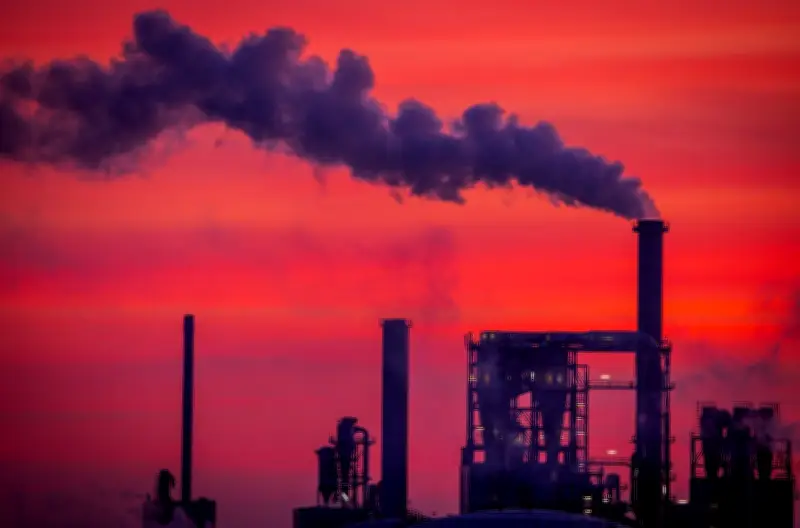 Mecklenburg-Vorpommerns Wirtschaft: Verhaltene Stimmung trotz leichter Konjunkturverbesserung