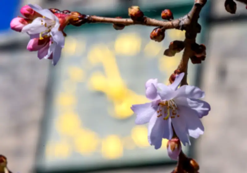 Meteorologischer Frühlingsanfang bringt Sonne und Wärme nach Mitteldeutschland