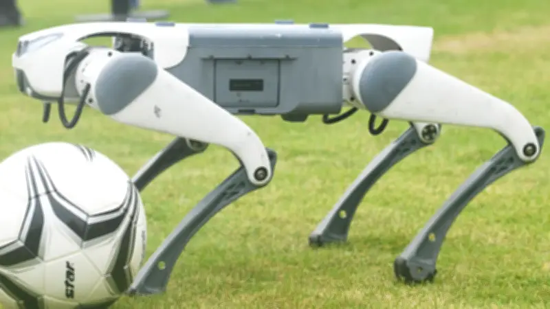 Mexikos Polizei setzt bei Fußball-WM 2026 auf Roboter-Hunde für Sicherheitseinsätze