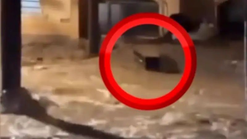 Mindestens 46 Tote nach Hochwasser in Brasilien: Särge von Flut mitgerissen