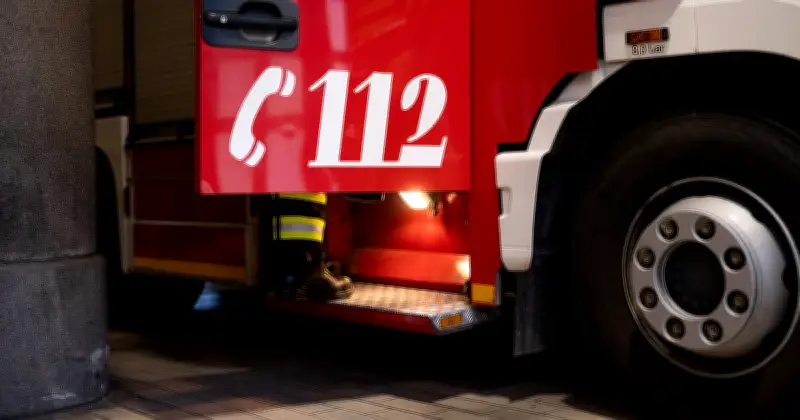 Münchner Feuerwehr rettet Schwan vom Dach – Spezialeinsatz in Schwabing-West