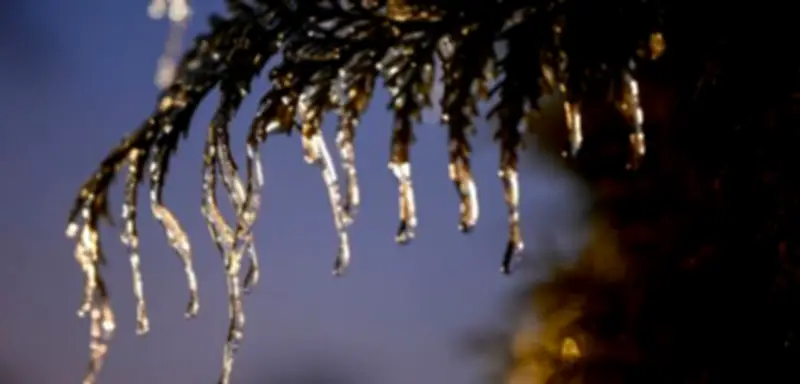 Moralischer Überdruck statt Pragmatismus: Grüne in der Selbstzweck-Falle