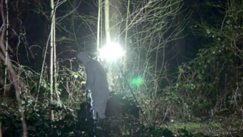 Mord in Duisburg: Ex-Partner nach Fund von Frauenleiche im Wald festgenommen