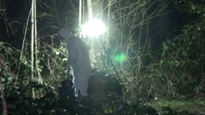 Mordkommission ermittelt in Duisburg: Leiche einer jungen Frau im Wald entdeckt