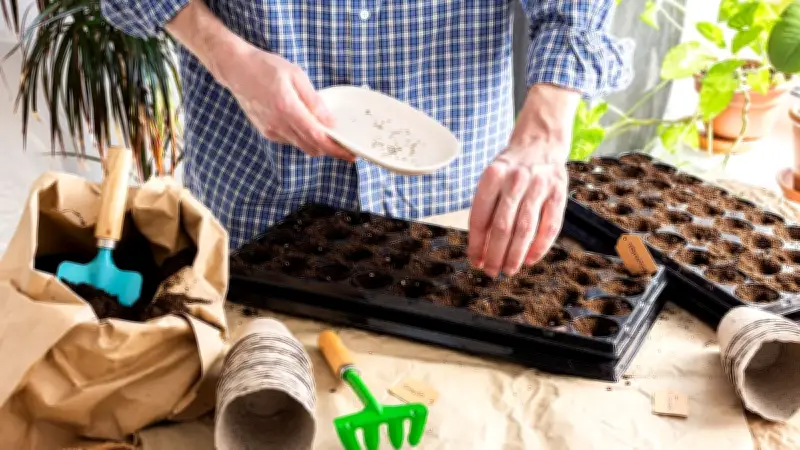 Multitopfplatten: Effiziente Pflanzenanzucht auf engstem Raum
