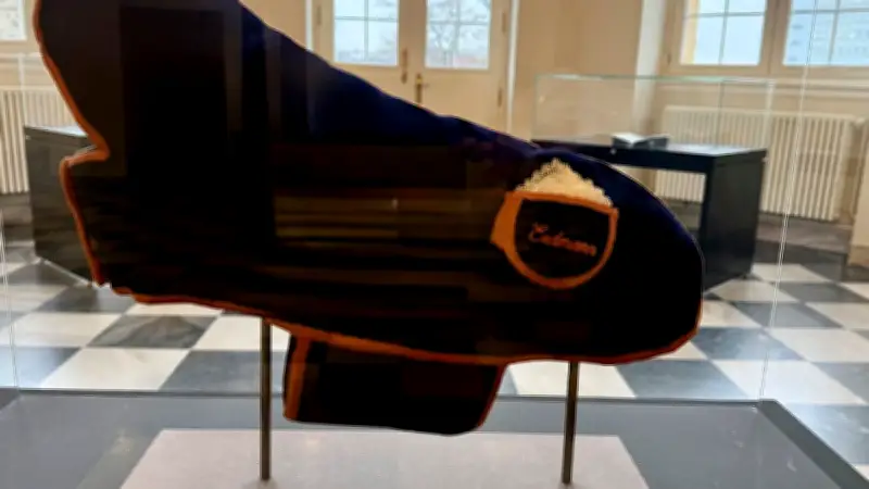 Mysteriöser Dackelmantel in Kassel: Kaiserliche Reliquie oder geschickte Fälschung?