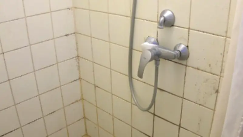 Nach Schimmelskandal in Freimann: Studierendenwerk präsentiert Aktionsplan