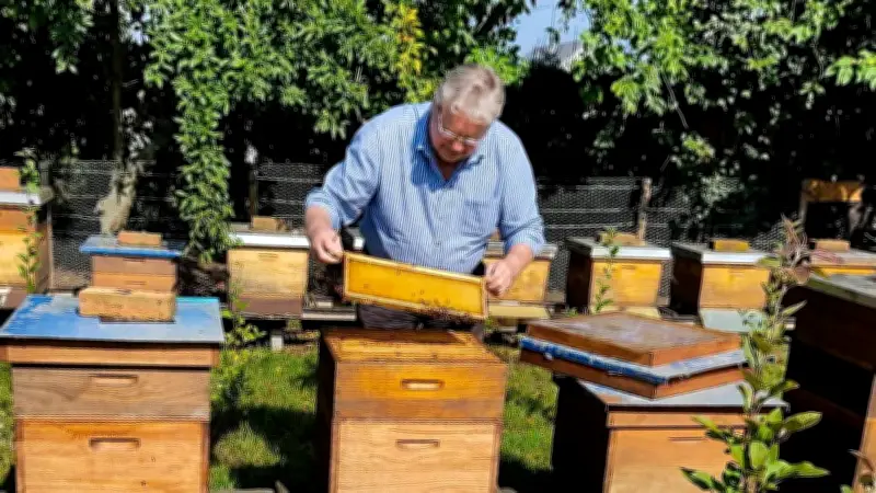 Nachbarschaftsstreit eskaliert: Imker von Nachbarn niedergestochen - Schmerzensgeldstreit vor Gericht