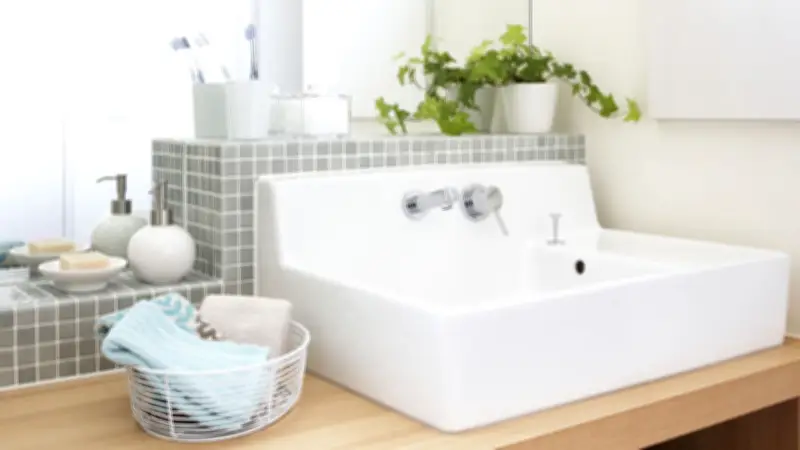 Natürliche Schimmelbekämpfung: Diese 6 Pflanzen reinigen die Luft im Badezimmer