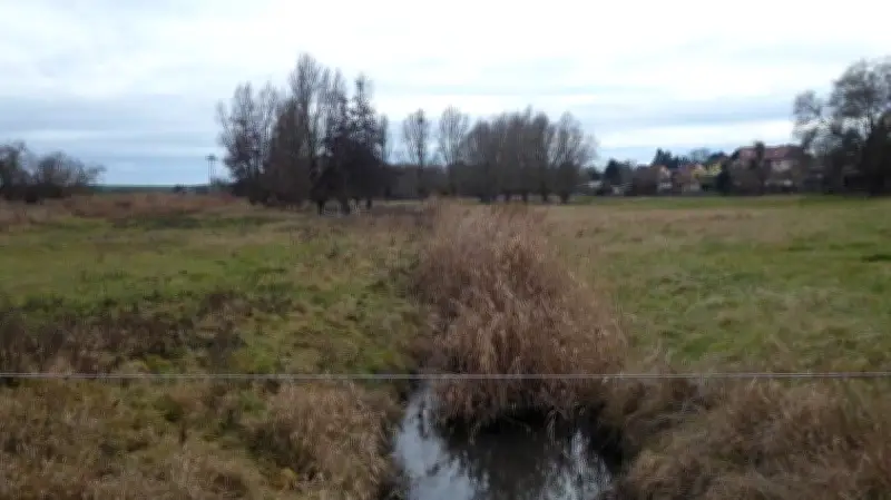 Naturgrundstück mit Bachabschnitt in Magdeburg für nur 100 Euro ersteigerbar