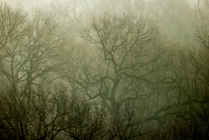 Naturschutzverbände fordern Erhalt der biologischen Vielfalt in Leipzig